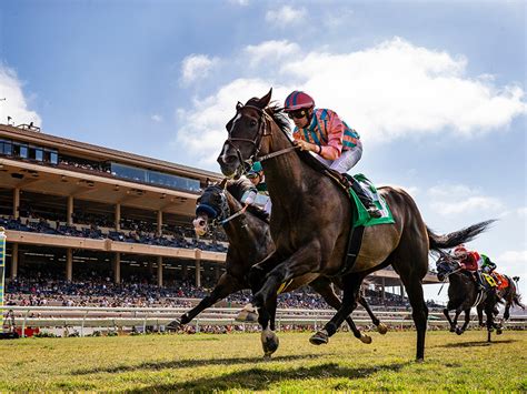 Specifically designed for the rolling exotic player, <b>Jeff</b> <b>Siegel</b>’s “Daily Analysis and Wagering Strategies” isolates those horses that should be included in daily doubles, pick-3s, pick-4s, pick-5s, and the pick-6. . Jeff siegel picks del mar